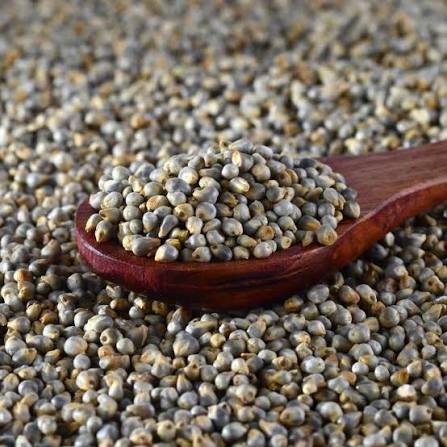 Pearl Millet (Bajra)